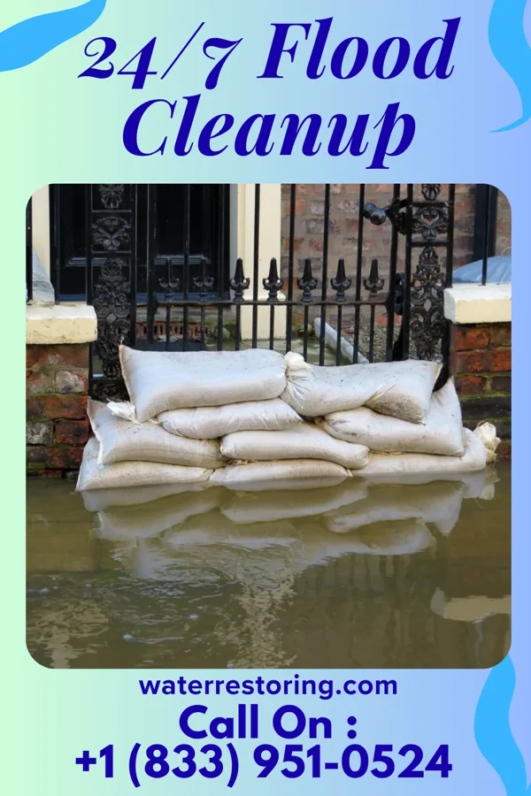 24/7 Flood Cleanup in Georgetown, IL