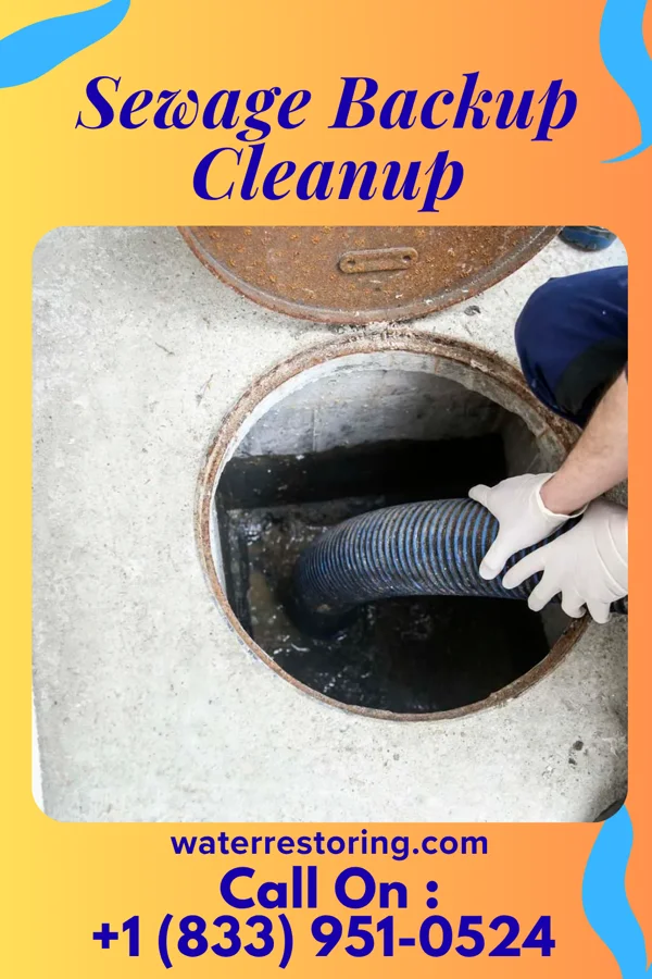 Sewage Backup Cleanup in Georgetown, IL