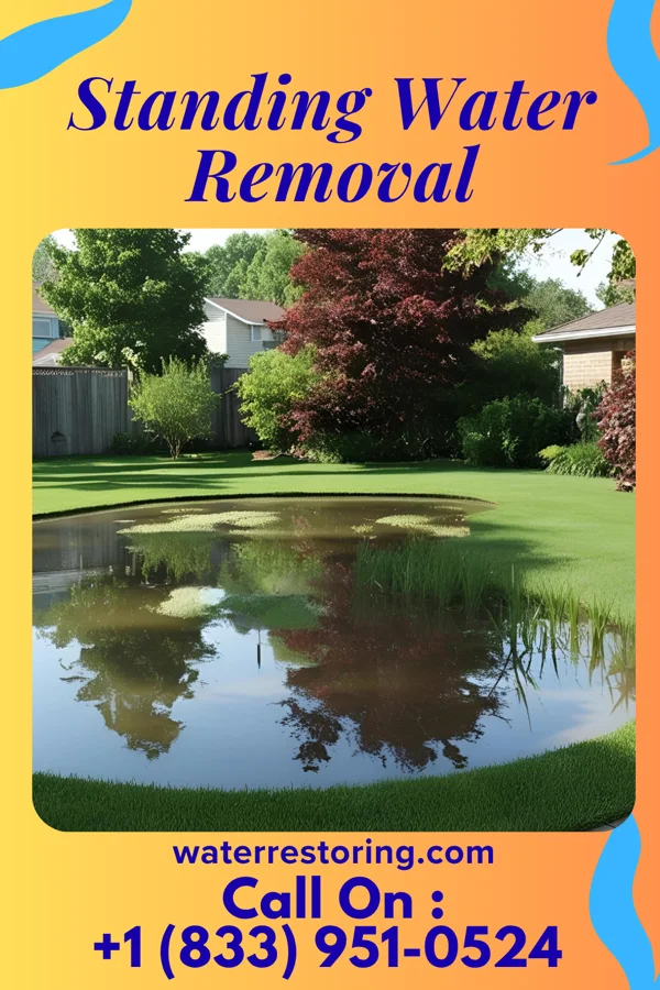 Standing Water Removal in Georgetown, IL